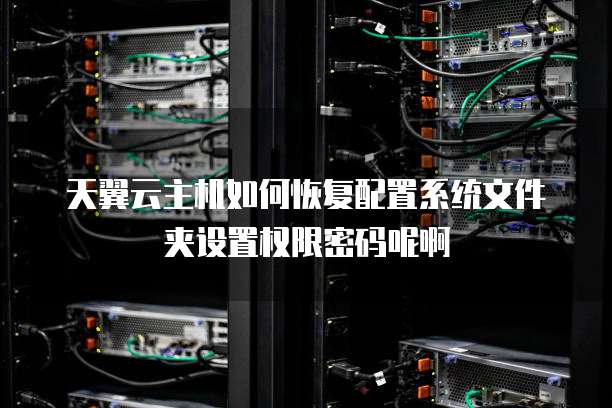 天翼云主机如何恢复配置系统文件夹设置权限密码呢啊
