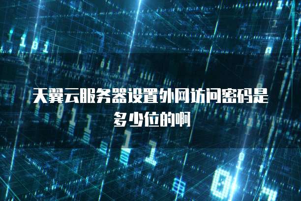 天翼云服务器设置外网访问密码是多少位的啊
