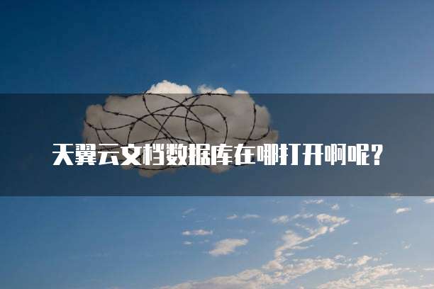 天翼云文档数据库在哪打开啊呢?