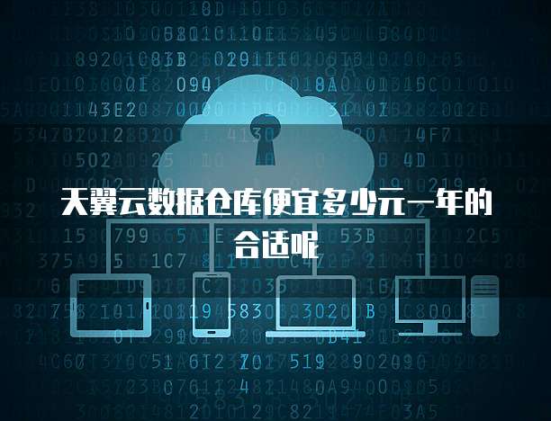 天翼云数据仓库便宜多少元一年的合适呢