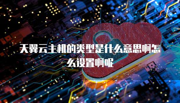 天翼云主机的类型是什么意思啊怎么设置啊呢