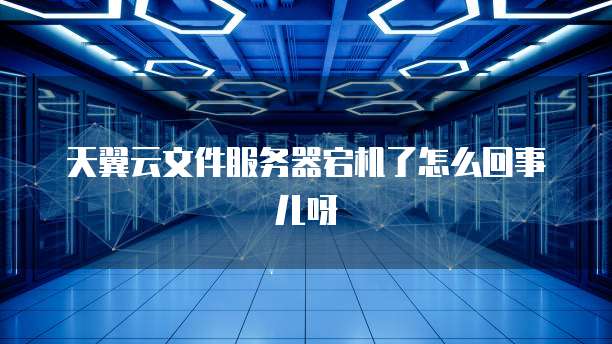 天翼云文件服务器宕机了怎么回事儿呀
