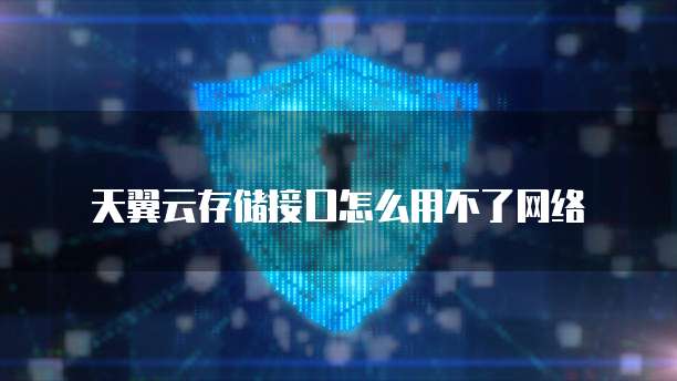 天翼云存储接口怎么用不了网络
