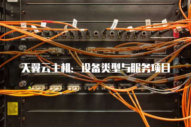 天翼云主机:设备类型与服务项目