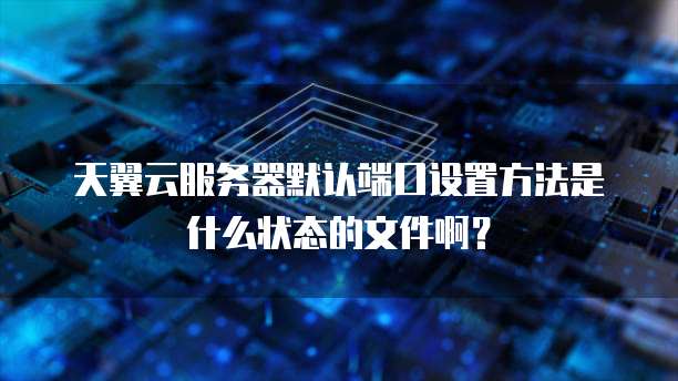 天翼云服务器默认端口设置方法是什么状态的文件啊?