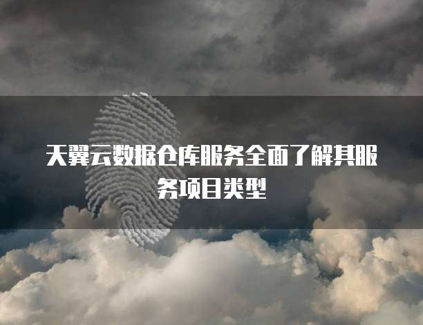 天翼云数据仓库服务全面了解其服务项目类型