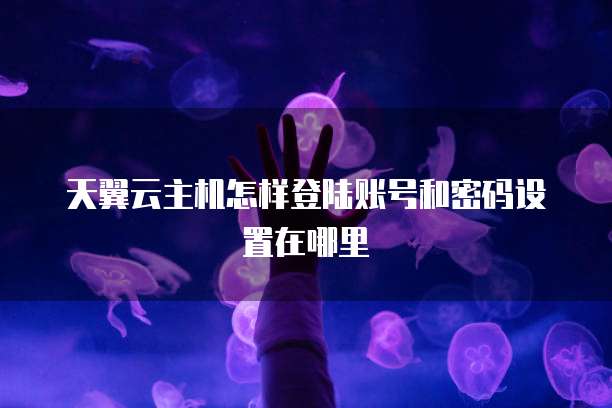 天翼云主机怎样登陆账号和密码设置在哪里
