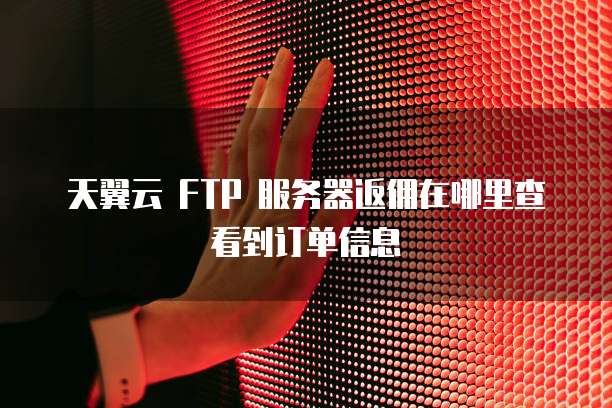 天翼云 FTP 服务器返佣在哪里查看到订单信息
