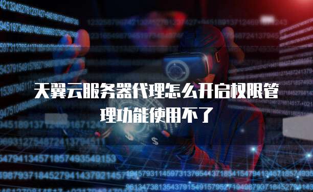 天翼云服务器代理怎么开启权限管理功能使用不了