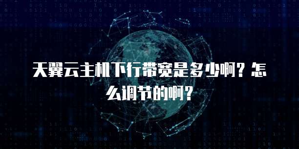 天翼云主机下行带宽是多少啊？怎么调节的啊？