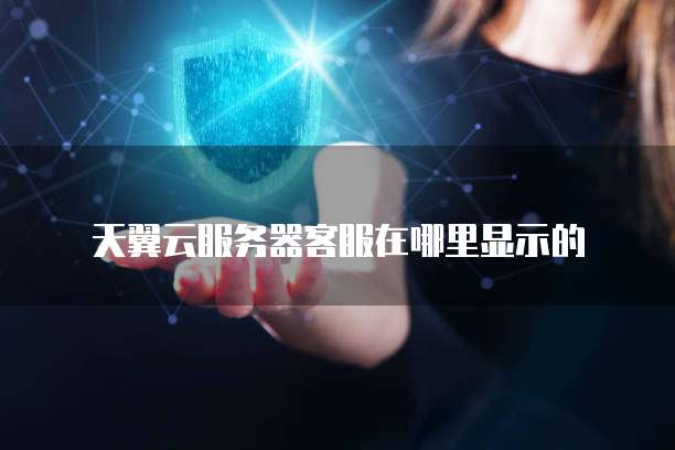 天翼云服务器客服在哪里显示的
