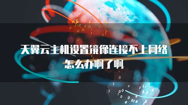 天翼云主机设置镜像连接不上网络怎么办啊了啊