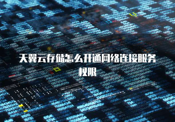 天翼云存储怎么开通网络连接服务权限