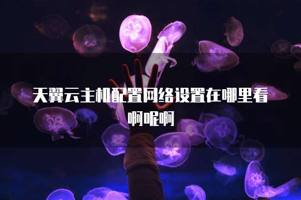 天翼云主机配置网络设置在哪里看啊呢啊