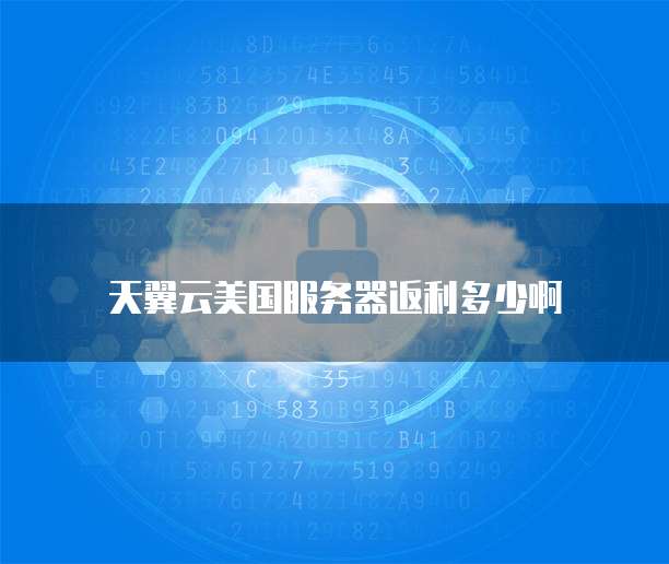 天翼云美国服务器返利多少啊