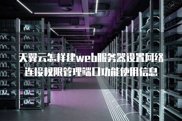 天翼云怎样建web服务器设置网络连接权限管理端口功能使用信息