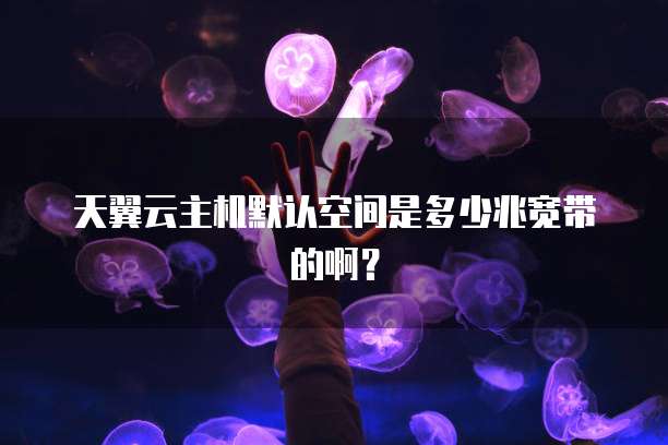 天翼云主机默认空间是多少兆宽带的啊？
