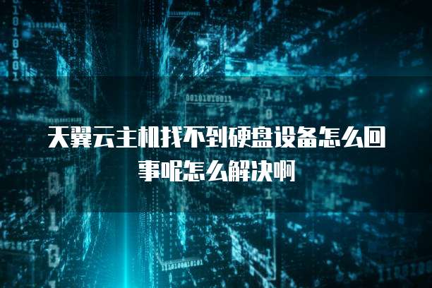 天翼云主机找不到硬盘设备怎么回事呢怎么解决啊