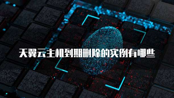 天翼云主机到期删除的实例有哪些