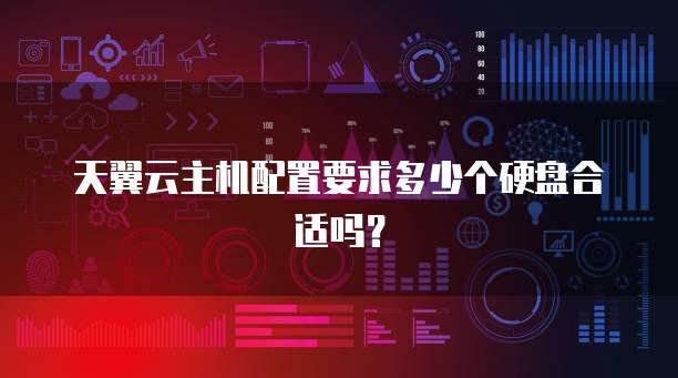 天翼云主机配置要求多少个硬盘合适吗?