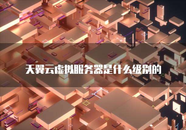 天翼云虚拟服务器是什么级别的