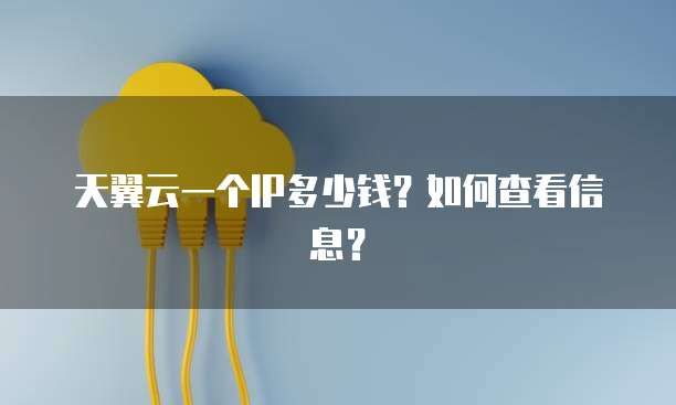 天翼云一个IP多少钱?如何查看信息?