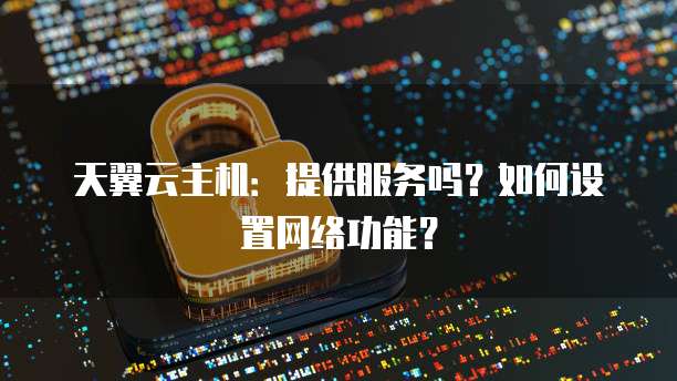 天翼云主机:提供服务吗?如何设置网络功能?