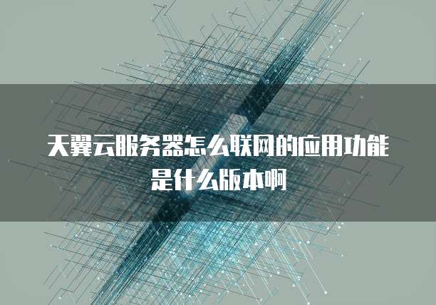 天翼云服务器怎么联网的应用功能是什么版本啊