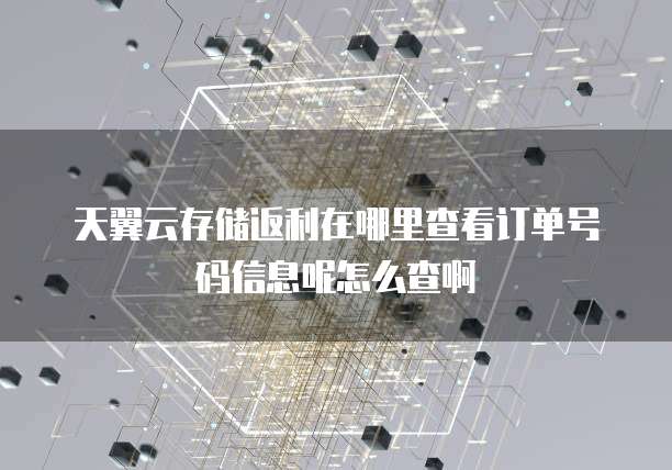 天翼云存储返利在哪里查看订单号码信息呢怎么查啊
