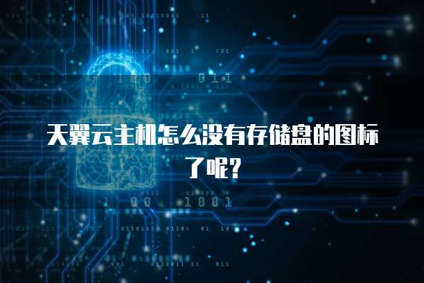 天翼云主机怎么没有存储盘的图标了呢？