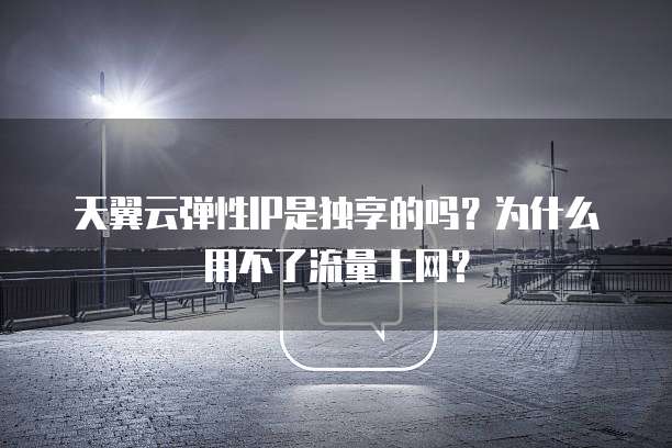 天翼云弹性IP是独享的吗?为什么用不了流量上网?