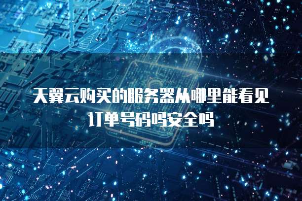 天翼云购买的服务器从哪里能看见订单号码吗安全吗
