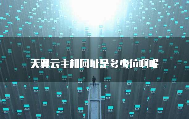 天翼云主机网址是多少位啊呢