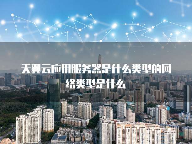 天翼云应用服务器是什么类型的网络类型是什么
