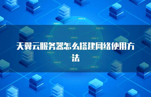 天翼云服务器怎么搭建网络使用方法