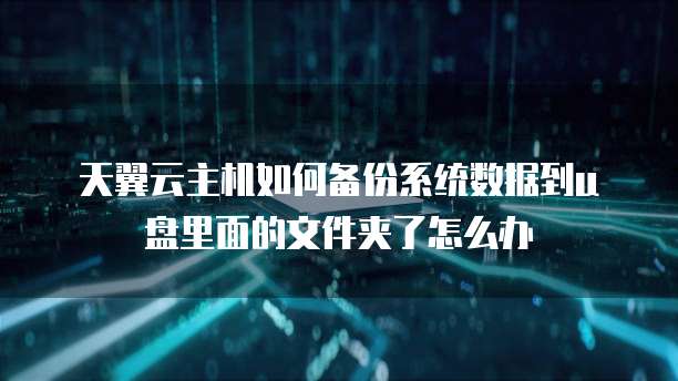 天翼云主机如何备份系统数据到u盘里面的文件夹了怎么办