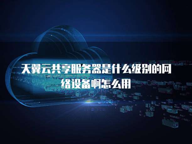 天翼云共享服务器是什么级别的网络设备啊怎么用