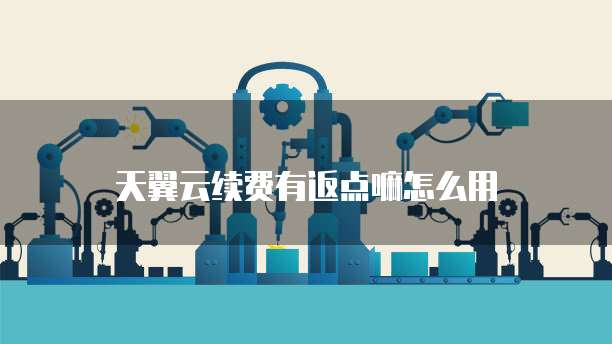天翼云续费有返点嘛怎么用