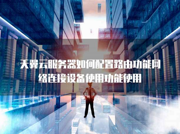 天翼云服务器如何配置路由功能网络连接设备使用功能使用