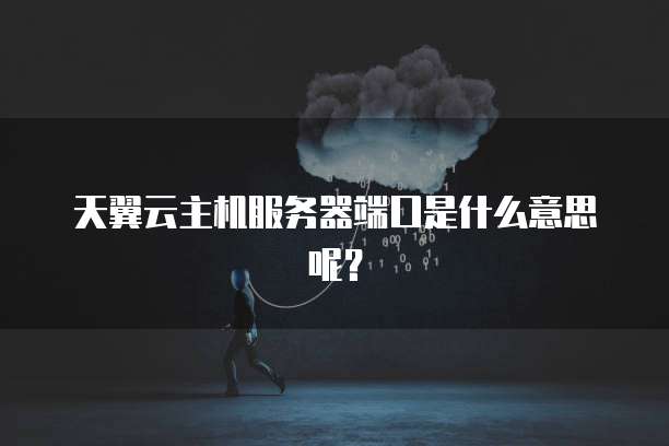 天翼云主机服务器端口是什么意思呢?