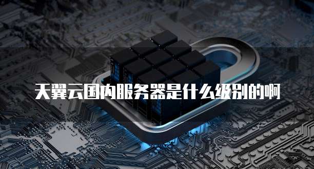 天翼云国内服务器是什么级别的啊