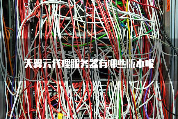 天翼云代理服务器有哪些版本呢