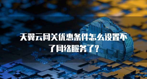天翼云网关优惠条件怎么设置不了网络服务了?