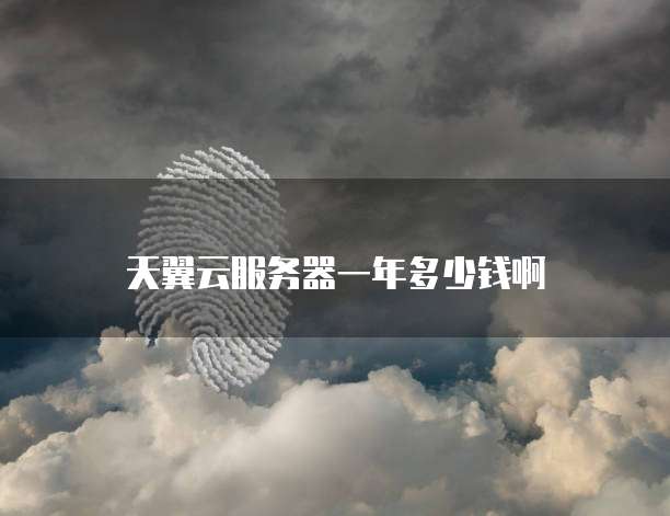 天翼云服务器一年多少钱啊