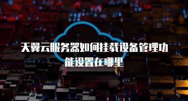 天翼云服务器如何挂载设备管理功能设置在哪里