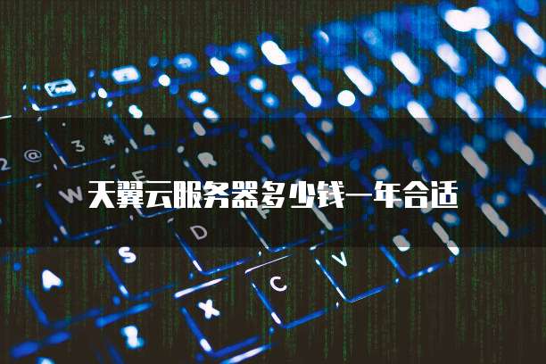 天翼云服务器多少钱一年合适