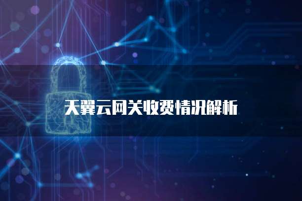 天翼云网关收费情况解析