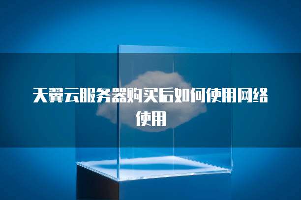 天翼云服务器购买后如何使用网络使用