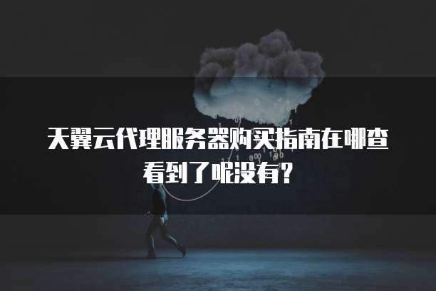 天翼云代理服务器购买指南在哪查看到了呢没有？