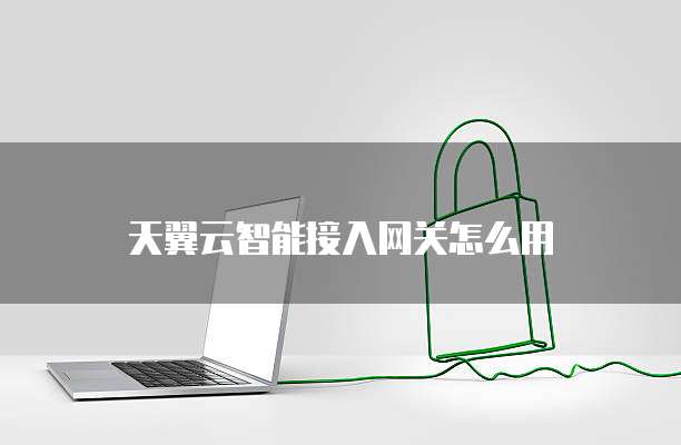 天翼云智能接入网关怎么用